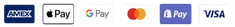 Payment icons picture