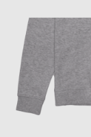 Picture of Men’s Hoodie - 101M - Melange