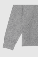 Picture of Women’s Hoodie - 101W - Melange