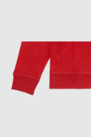 Picture of Women’s Hoodie - 101W - Red