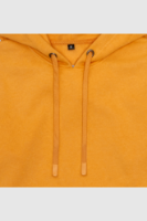 Picture of Women’s Hoodie - 101W - Yellow