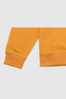 Picture of Women’s Crewneck Sweatshirt - 103W - Yellow