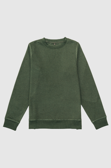 Picture of Men's Crewneck Sweatshirt - 103M - Forest green