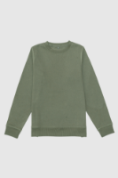 Picture of Men's Crewneck Sweatshirt - 103M - Olive
