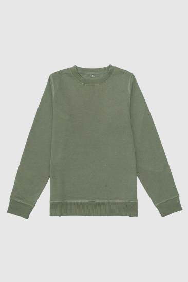 Picture of Men's Crewneck Sweatshirt - 103M - Olive